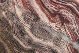 Polished Snakeskin Jasper Slab - Western Australia #221496-1